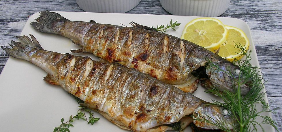 أسماك زيتية