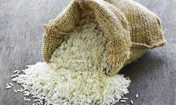 زكاة الأرز