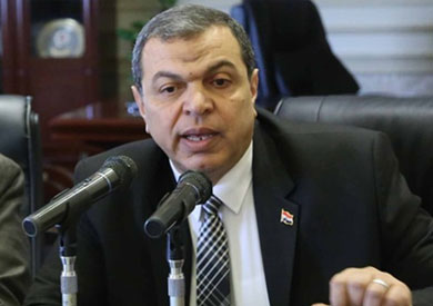 محمد سعفان وزير القوى العاملة محمد سعفان وزير القوى العاملة
