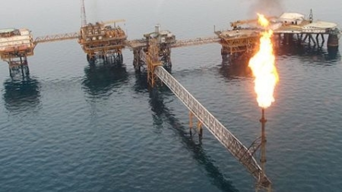 النفط النفط