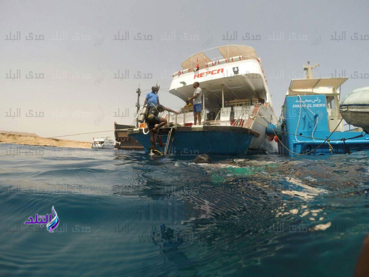تركيب 110 شمندورة 