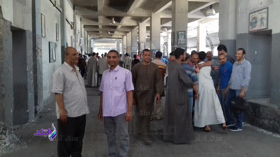 بدء ماراثون انتخابات المرحلة الثانية للنقابات العمالية بدء ماراثون انتخابات المرحلة الثانية للنقابات العمالية