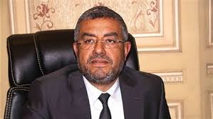 النائب عماد سعد حمودة النائب عماد سعد حمودة