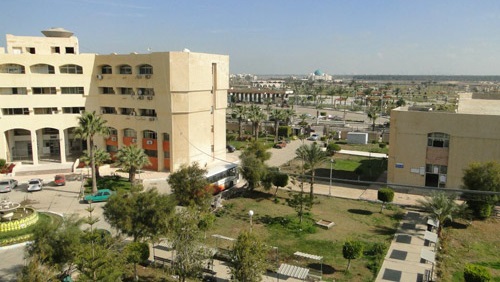 جامعة دمياط