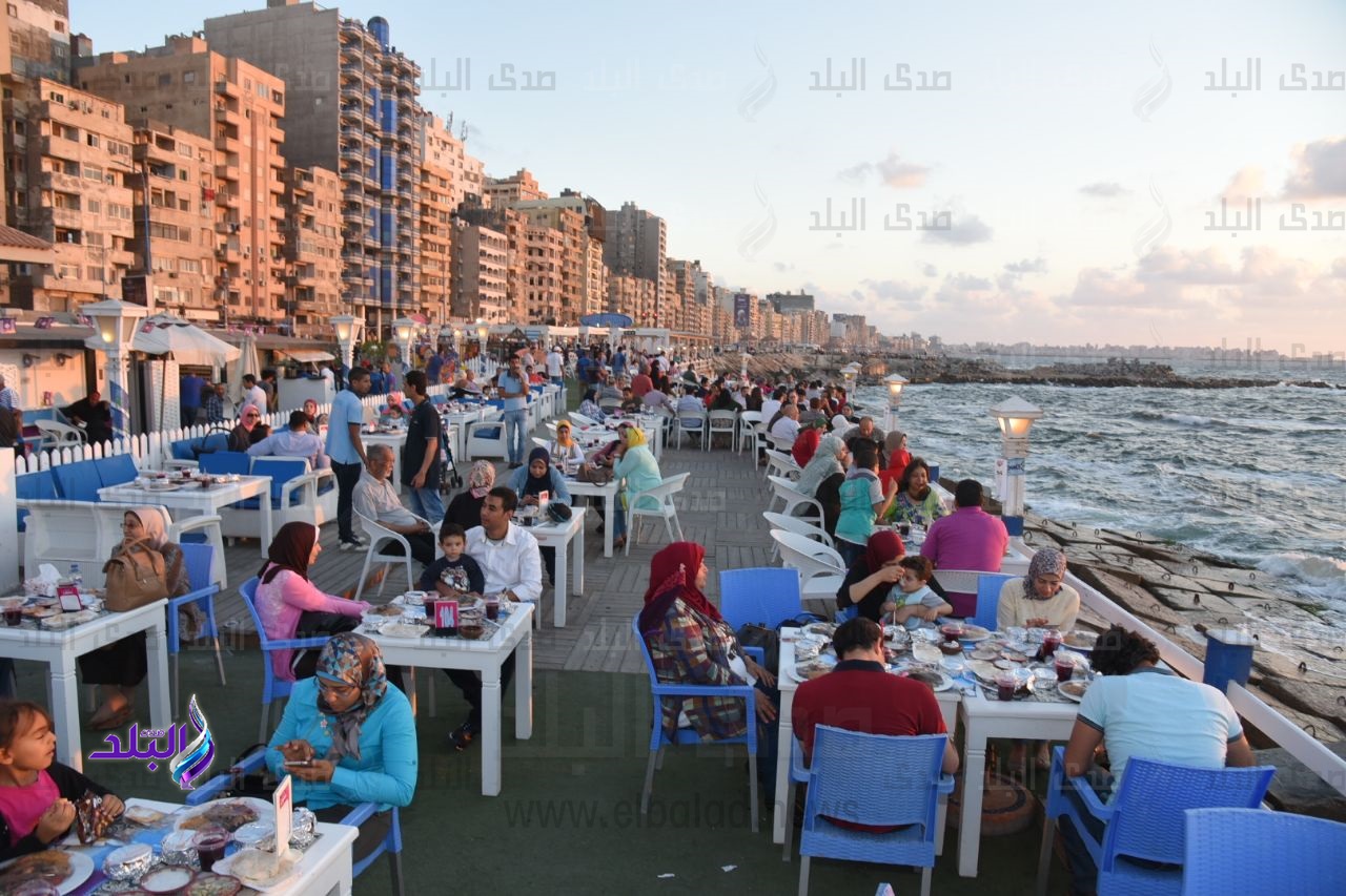 نقابة الصيادلة بالإسكندرية نقابة الصيادلة بالإسكندرية