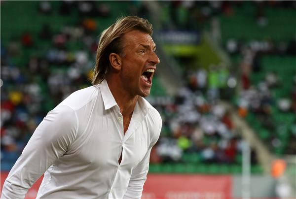 هيرفي رينارد، مدرب منتخب المغرب