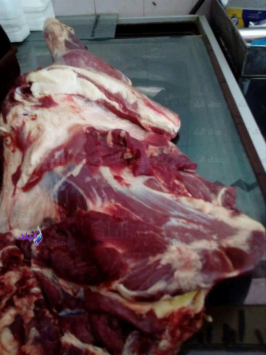 جانب من المضبوطات جانب من المضبوطات