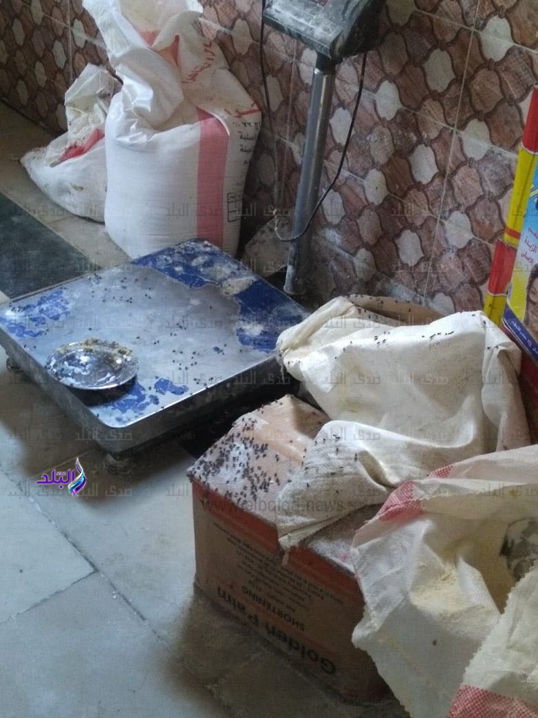 حملات مكثفه لصحة الدقهلية على مصانع البسكوت والكعك