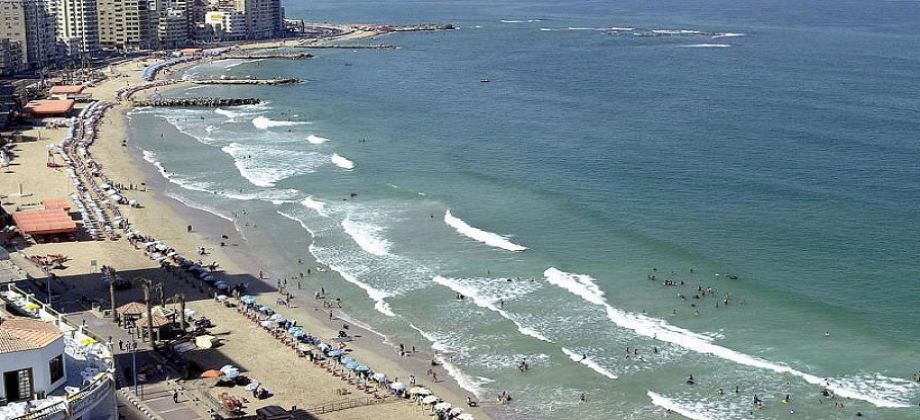 شواطئ الإسكندرية