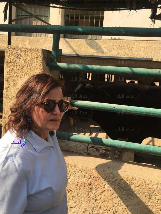 نائب وزير الزراعة منى محرز نائب وزير الزراعة منى محرز
