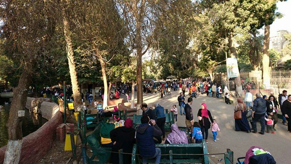 حديقة الحيوانات بالجيزة - صورة أرشيفية حديقة الحيوانات بالجيزة - صورة أرشيفية
