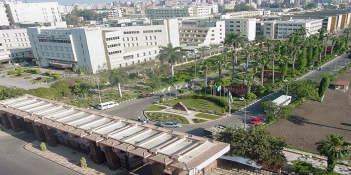 جامعة المنصورة جامعة المنصورة