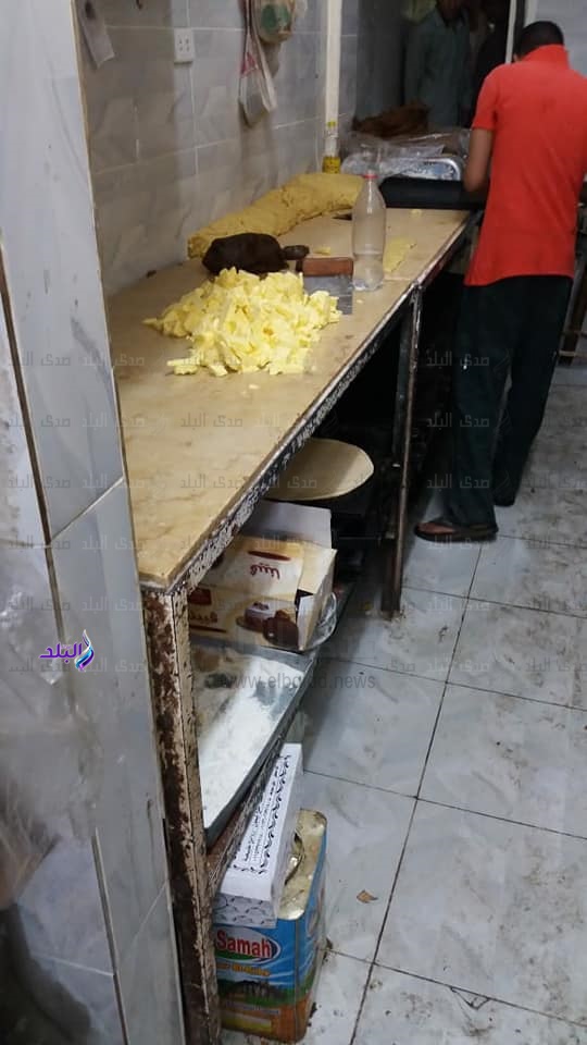 تحرير 12 محضر وغلق مخبز فينو في حملة صحية جنوب بني سويف