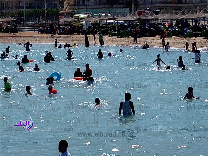 شاطئ