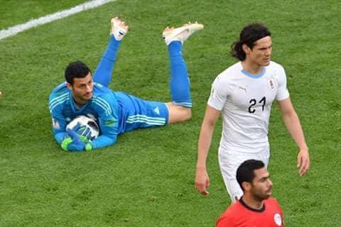 محمد الشناوي