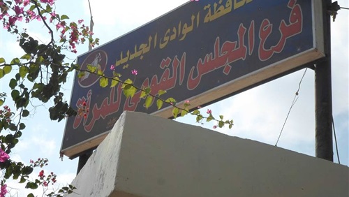  القومي للمرأة بمحافظة الوادي الجديد