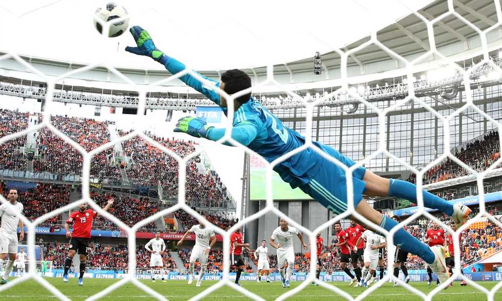 محمد الشناوي