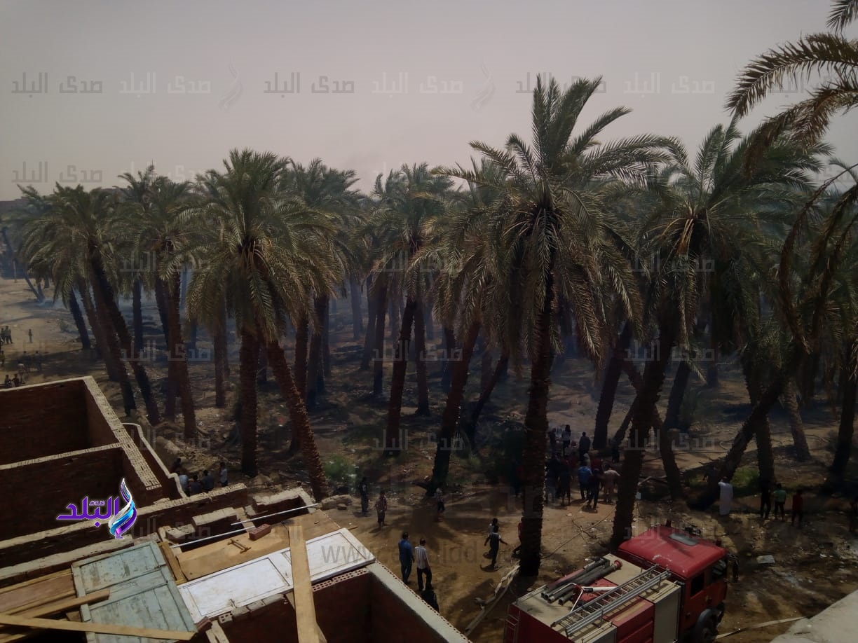 حريق منطقة الجناين