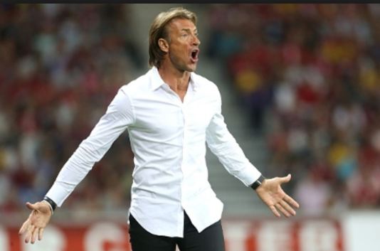 هيرفى رينارد 