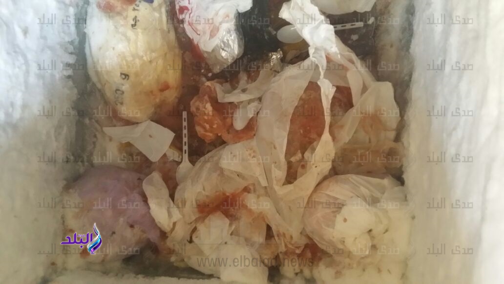 ضبط ربع طن رنجة فاسدة بثلاجة بدكرنس بالمنصوره ضبط ربع طن رنجة فاسدة بثلاجة بدكرنس بالمنصوره