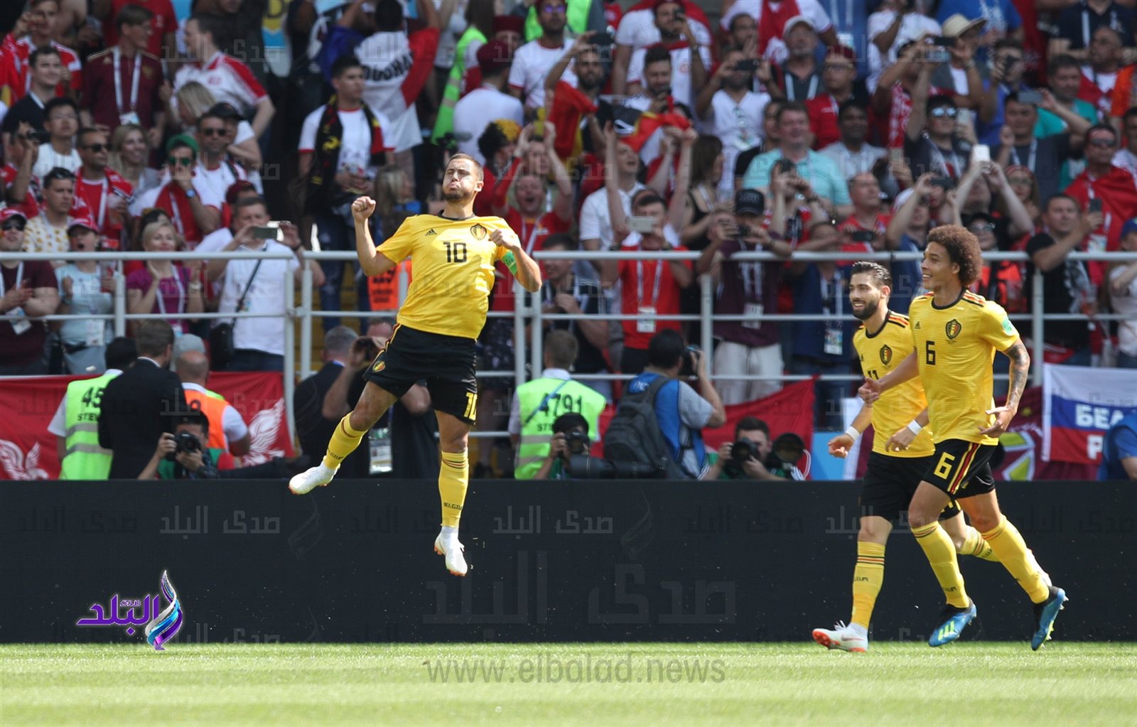 هازارد هازارد