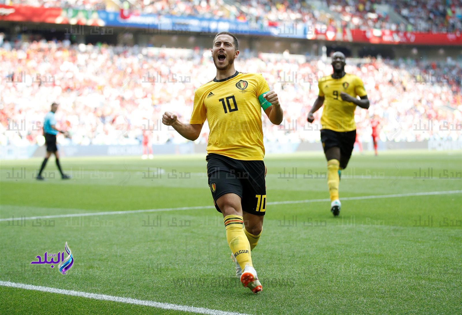 ادين هازراد 