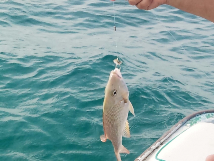 رياضة الصيد 