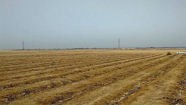أرض زراعية - أرشيفية أرض زراعية - أرشيفية