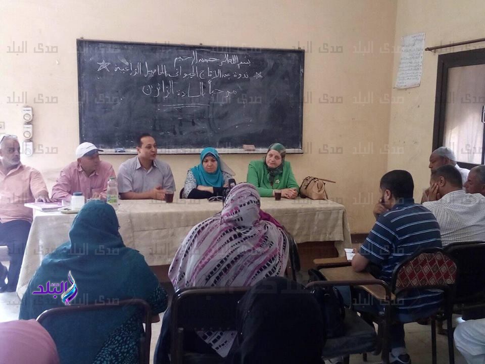 قافلة بالمنوفية