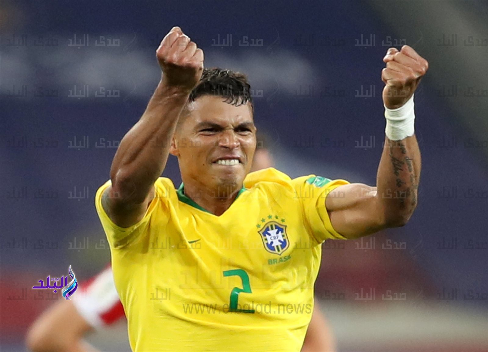 تياجو سيلفا 