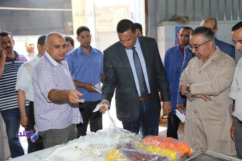 سكرتير المنوفية يتفقد عدد من المصانع بقويسنا