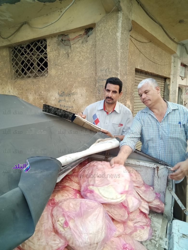 ضبط 8 مخابز مخالفة ومحطة وقود بدون ترخيص بالبحيرة..صور