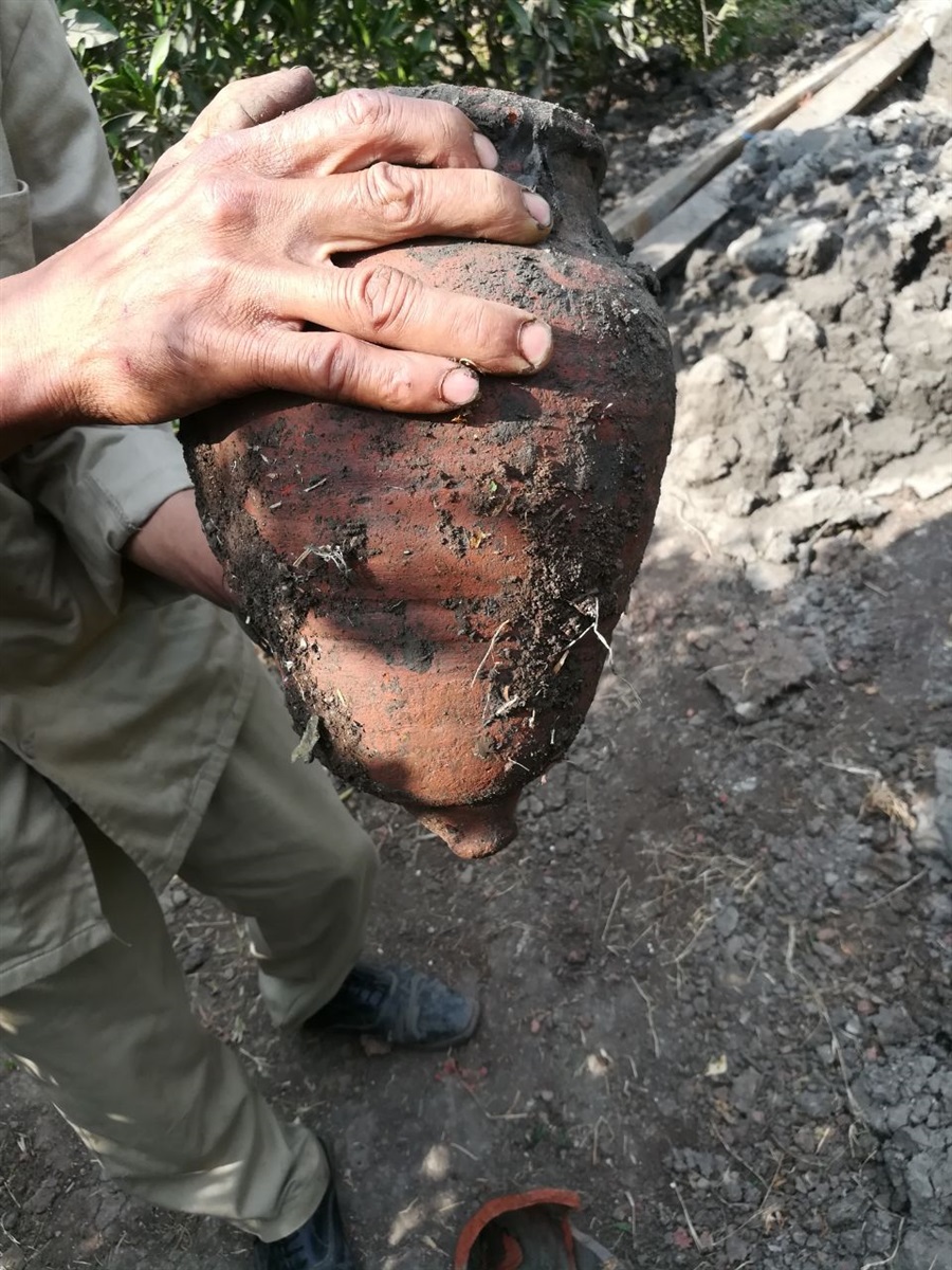 المضبوطات المضبوطات