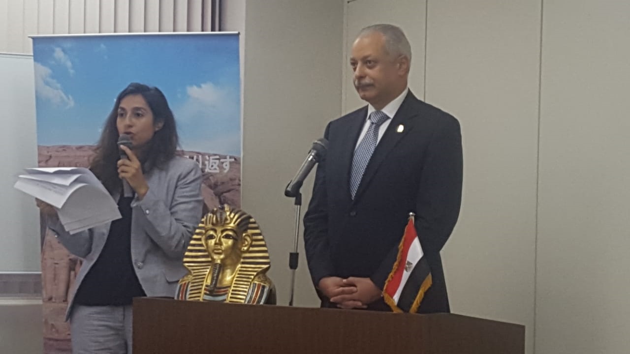 السفير أيمن كامل السفير أيمن كامل