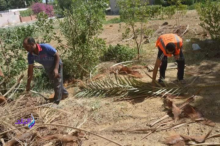 مركز الخارجة ينفذ حملة نظافه مكبرة مركز الخارجة ينفذ حملة نظافه مكبرة