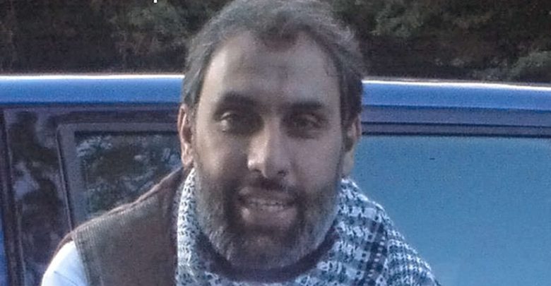 جمال بغال