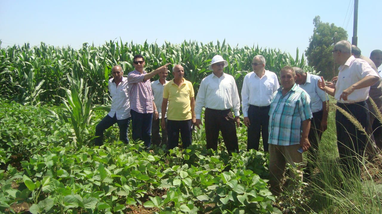 الزراعة تواصل حملات المرور والمتابعة