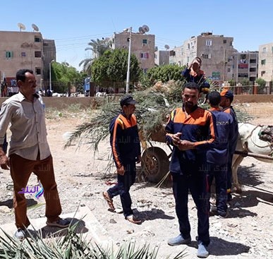 حملة نظافة حملة نظافة