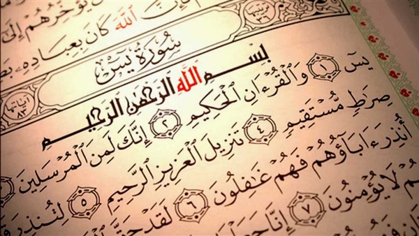 يس يس