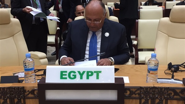 سامح شكرى وزير الخارجية