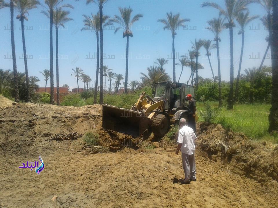 إزالة إزالة