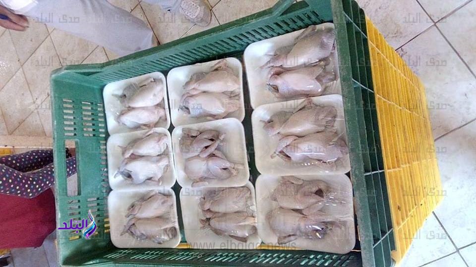 دواجن مذبوحة دواجن مذبوحة