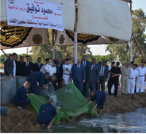 افتتاح المزرعة السمكية النموذجية بمنطقة سجون القطا افتتاح المزرعة السمكية النموذجية بمنطقة سجون القطا