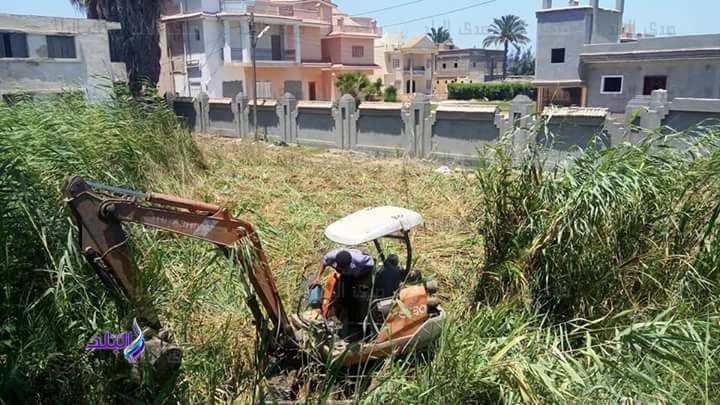 إزالة مأوي بيوت الثعابين إزالة مأوي بيوت الثعابين