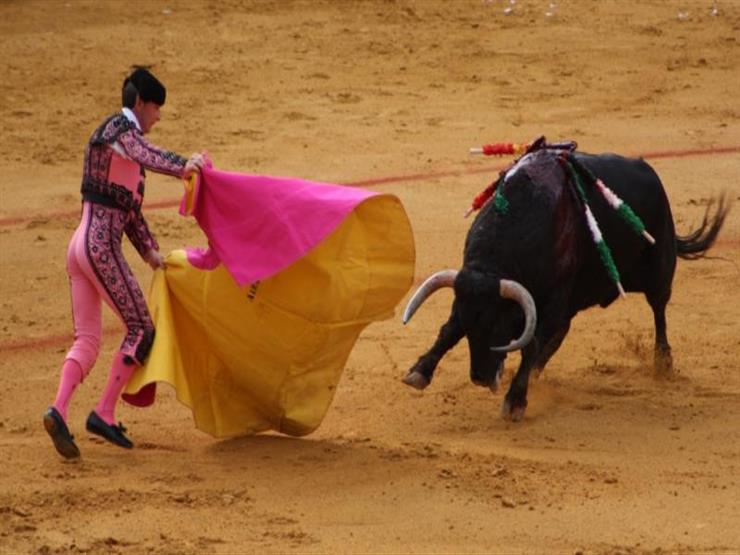 مصارعة الثيران