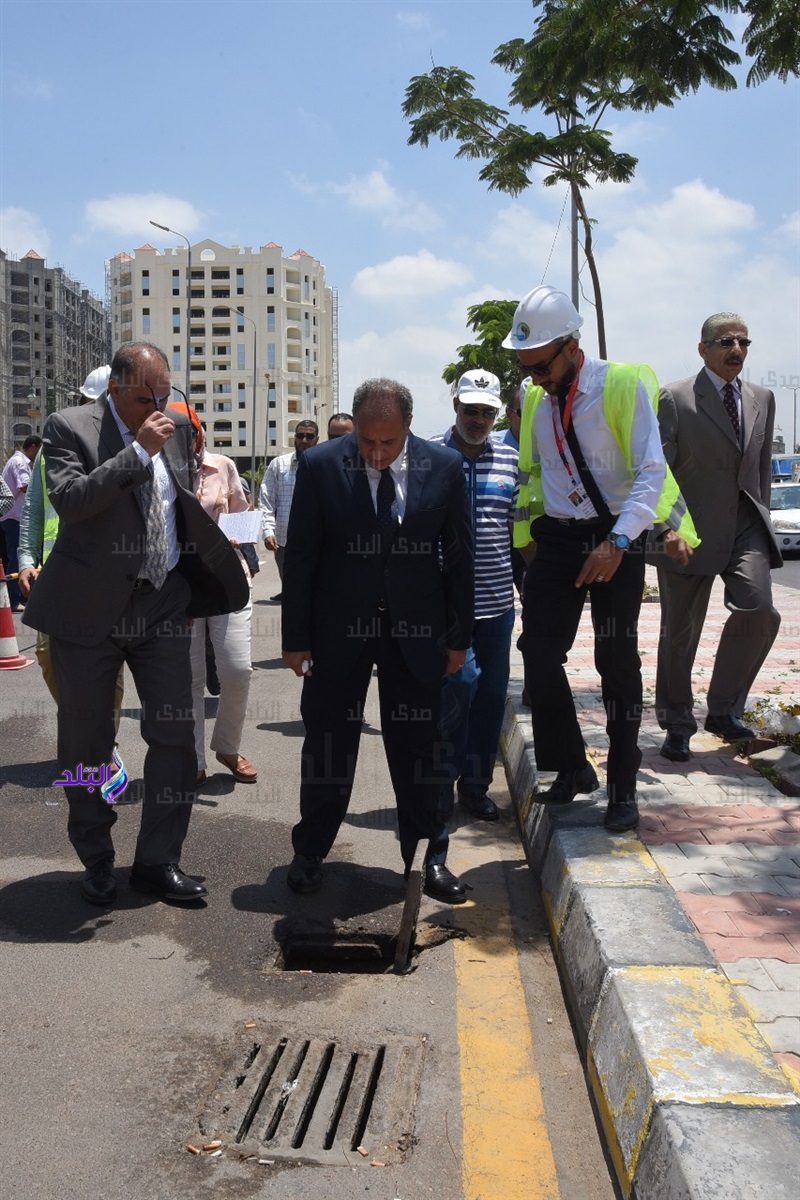 محافظ الإسكندرية 