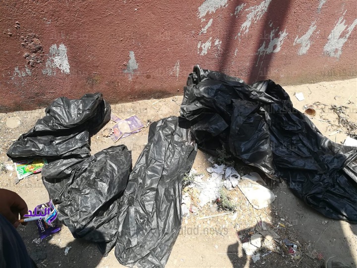 أطفال المريوطية أطفال المريوطية