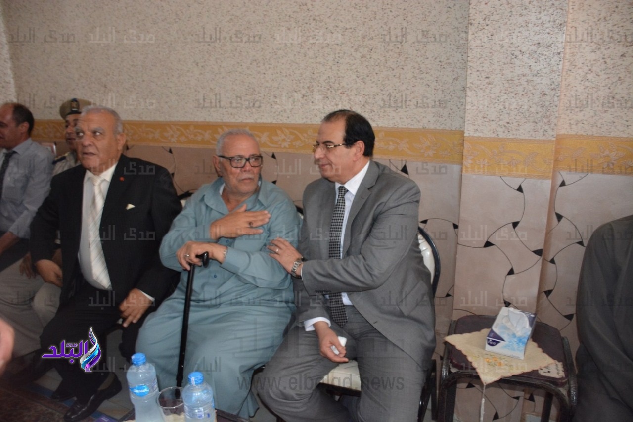 الدكتور أحمد الشعراوي، محافظ الدقهلية