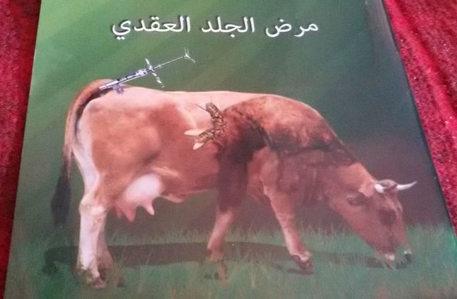 الجلد العقدي الجلد العقدي