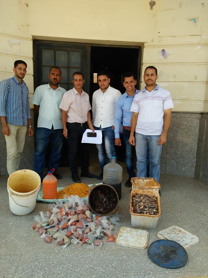 ضبط سردين وتوابل وشيبسي غير صالحة ببني سويف ضبط سردين وتوابل وشيبسي غير صالحة ببني سويف